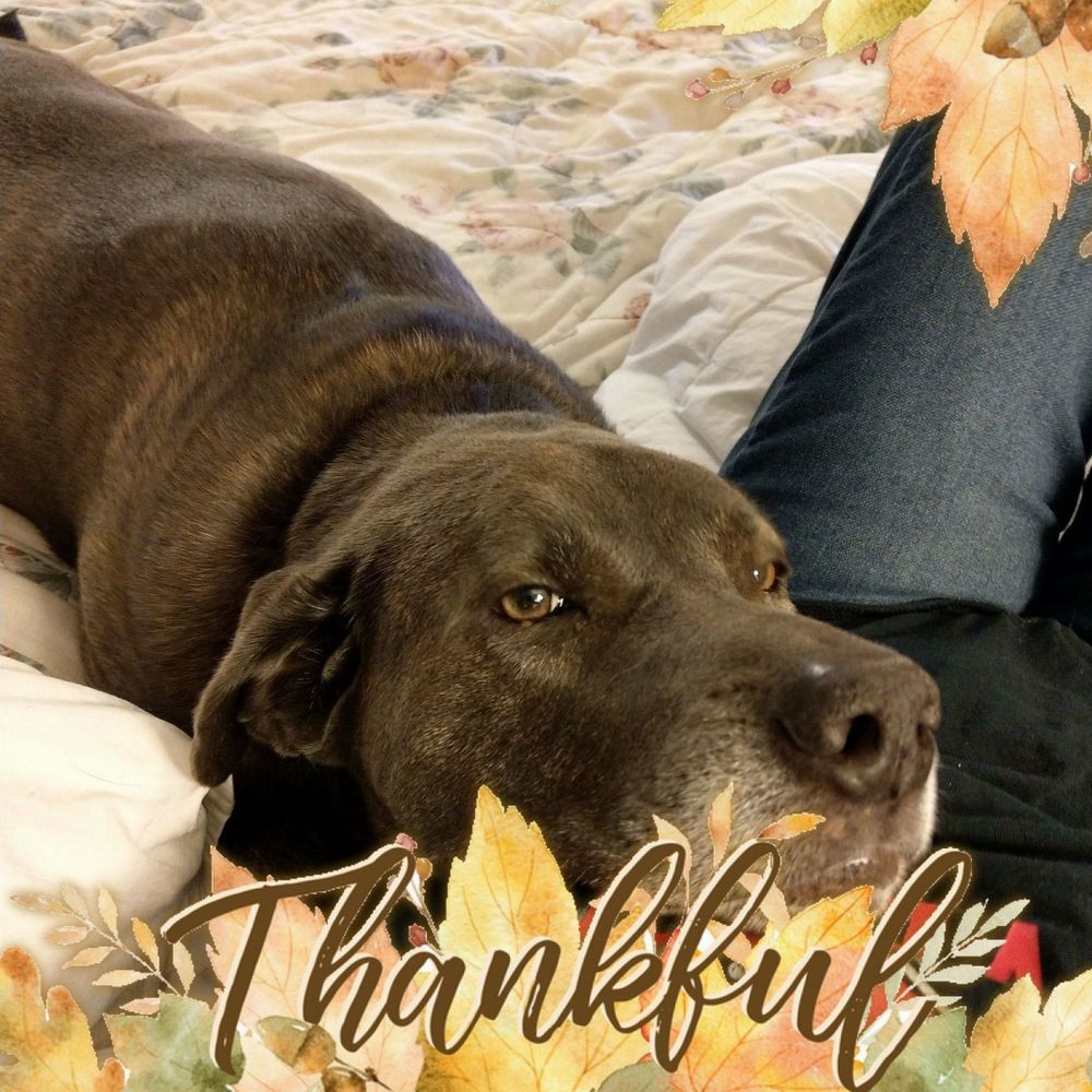 Meet your Posher, Pam